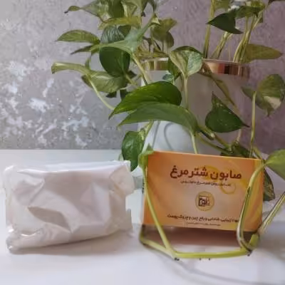 صابون شتر مرغ