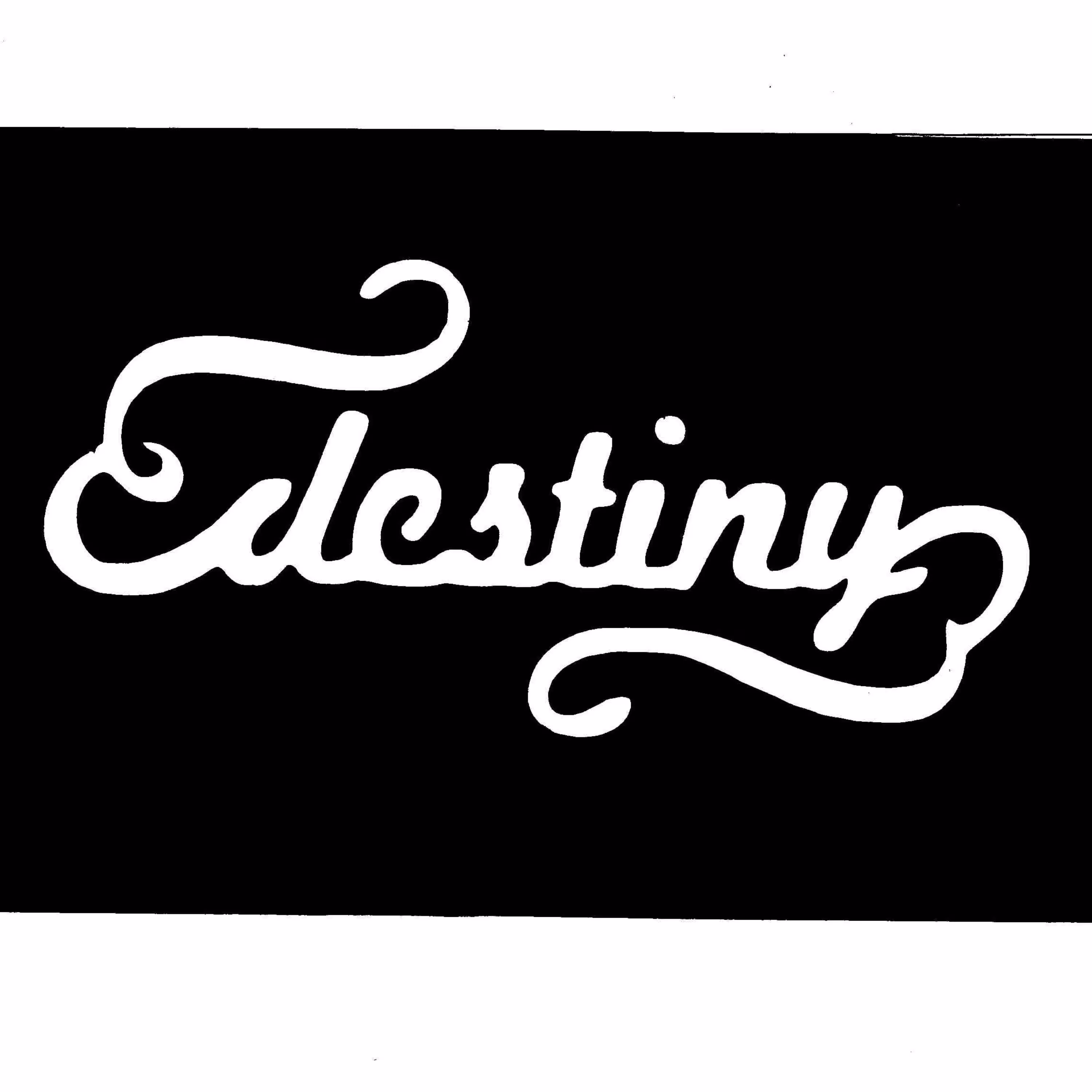 شابلون تتو موقت مدل نوشته انگلیسی 007 مجموعه 2 عددی