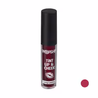 تینت لب ورشیپ مدل تینت شماره 310