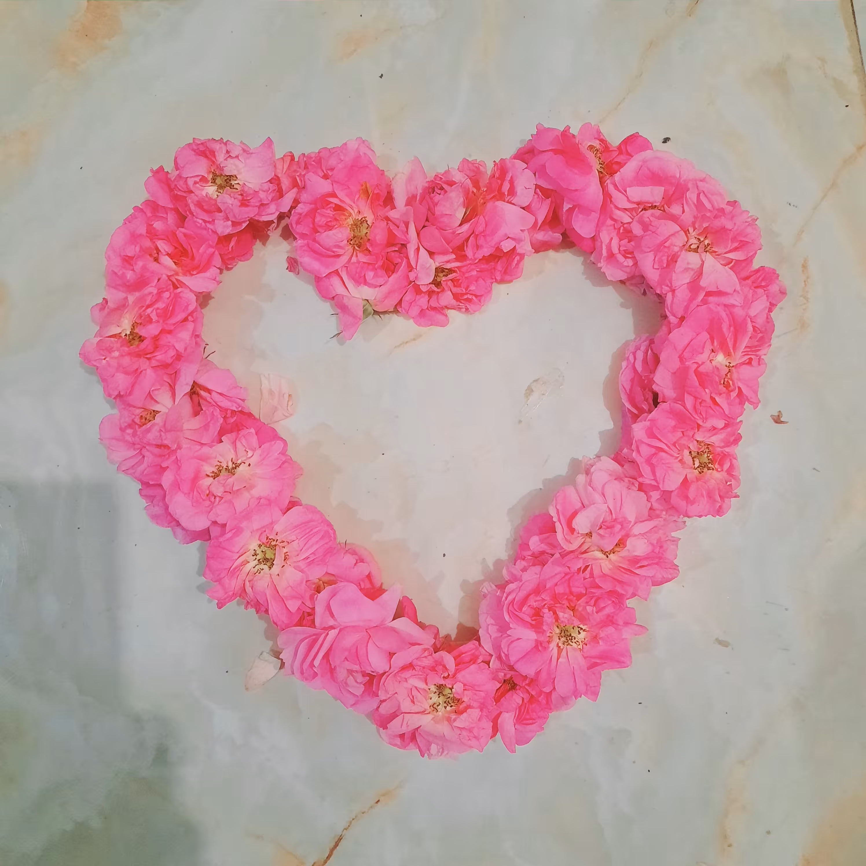 گلاب میعاد (نیم لیتری)