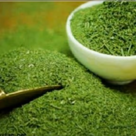 شوید خشک ممتاز فدک (120گرم)