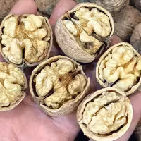 گردوی ناب تویسرکان باغ خودمون