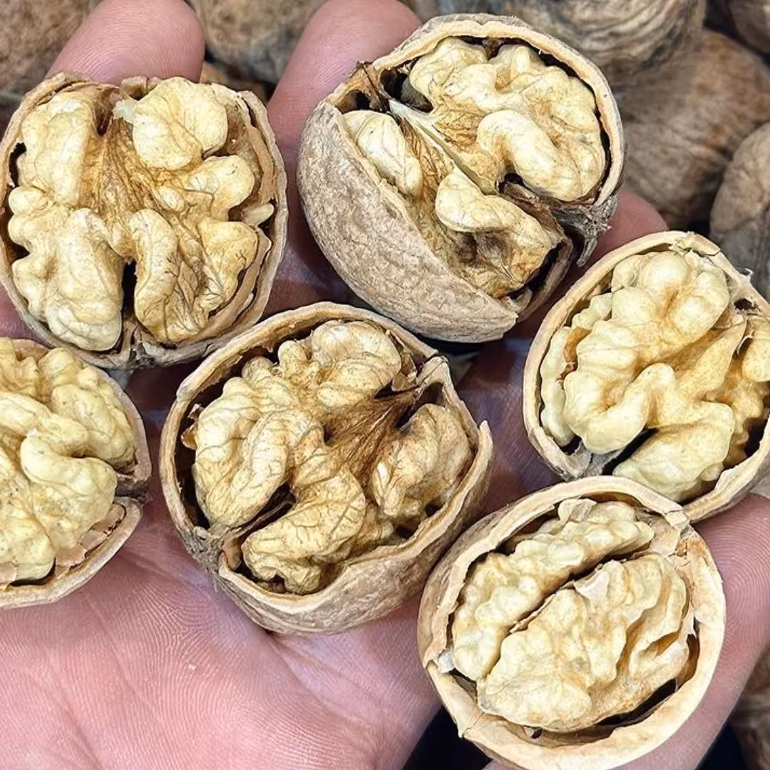 گردوی ناب تویسرکان باغ خودمون