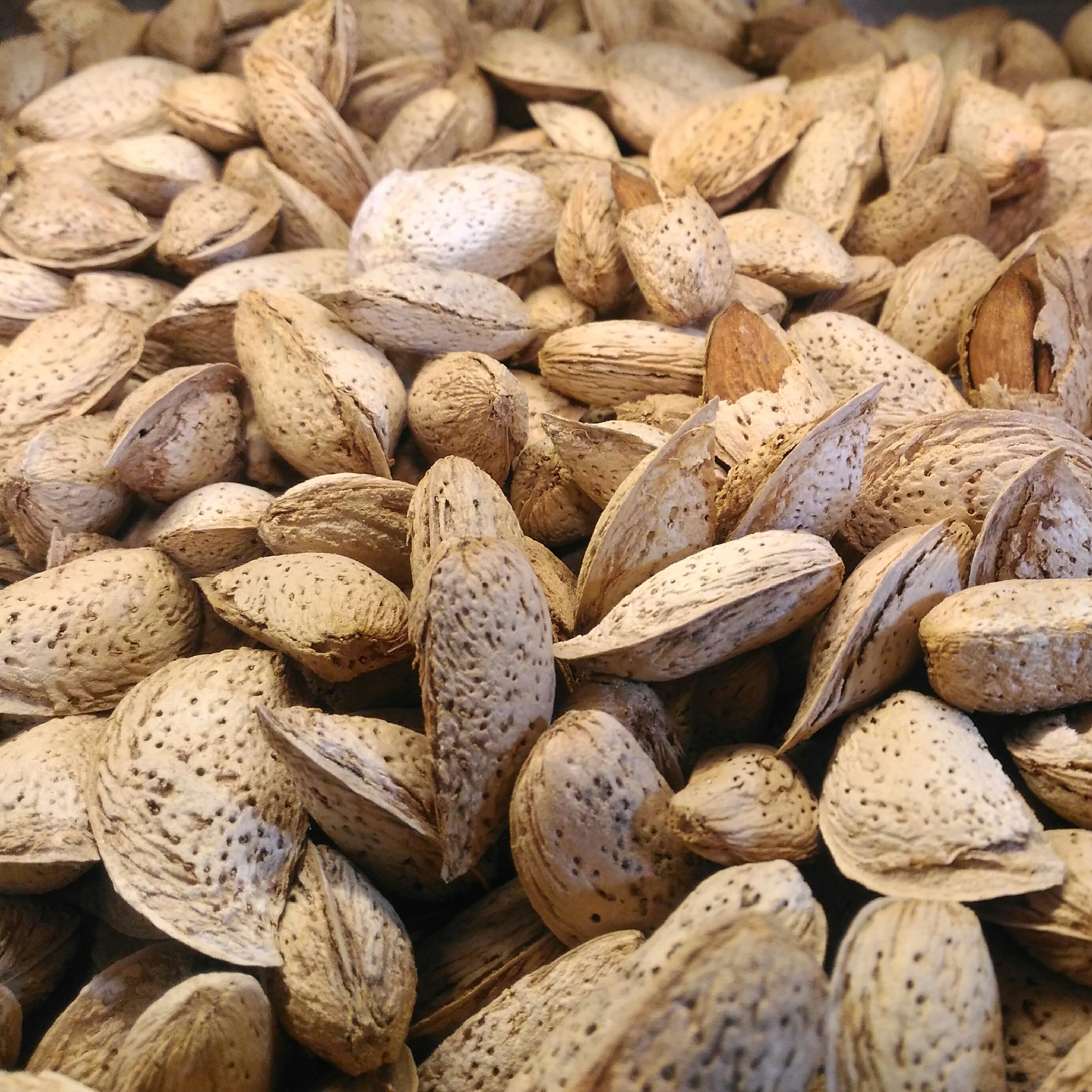 بادام منقا ایرانی (500 گرمی)