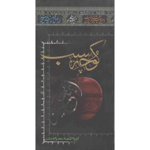 شعر آیینی امروز: کوچه سیب (گزیده اشعار محرم و صفر)