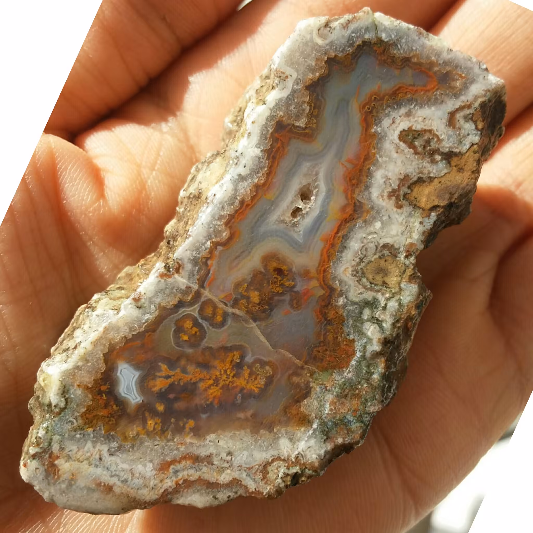 اسلایس سنگ راف عقیق سلیمانی 7رنگ شجر دار 100در 100 طبیعی شاهکار خلقت بی نظیر