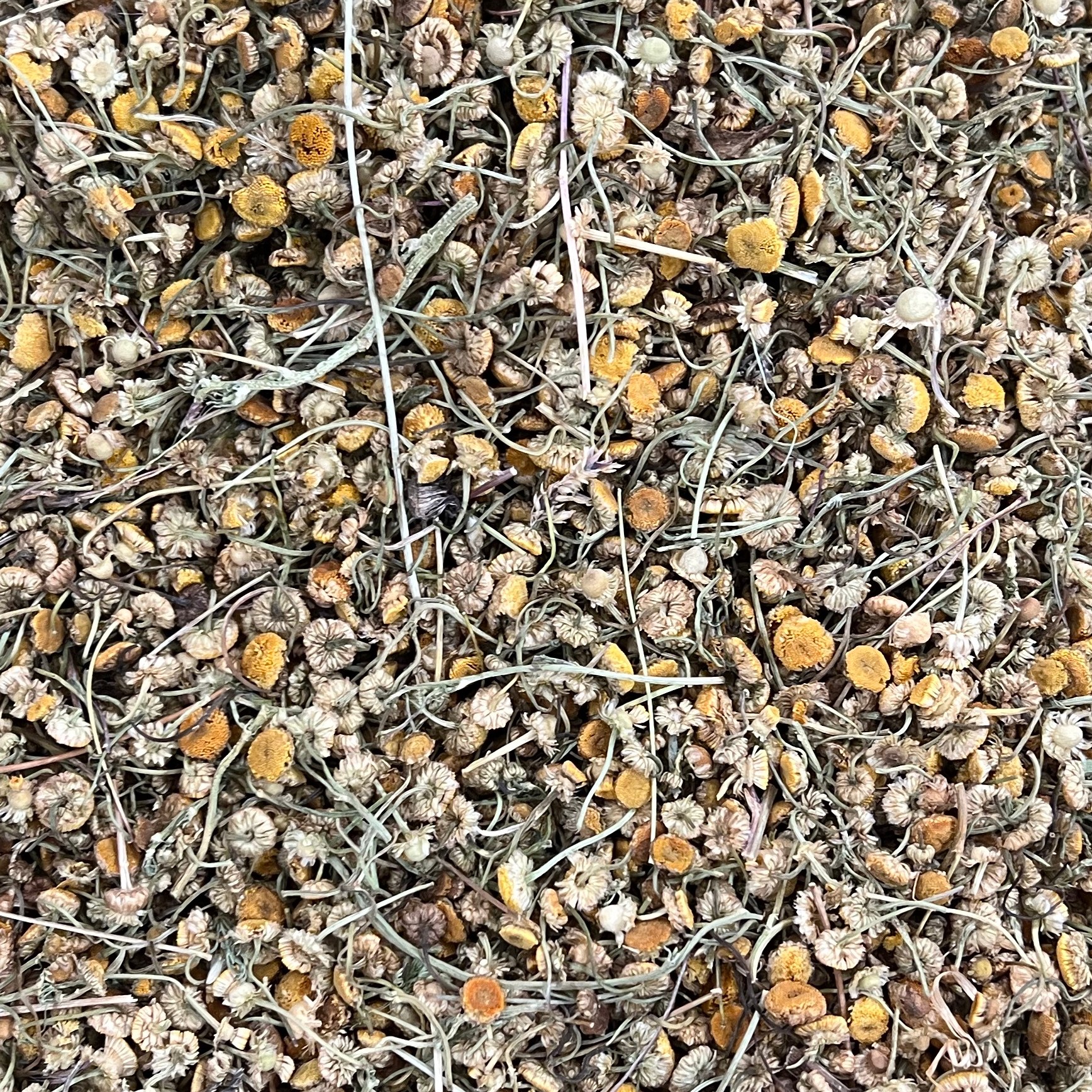 بابونه شیرازی 50 گرمی