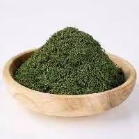 شوید خشک ممتاز فدک (100گرم)