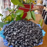 تخمه روغنی نمکی