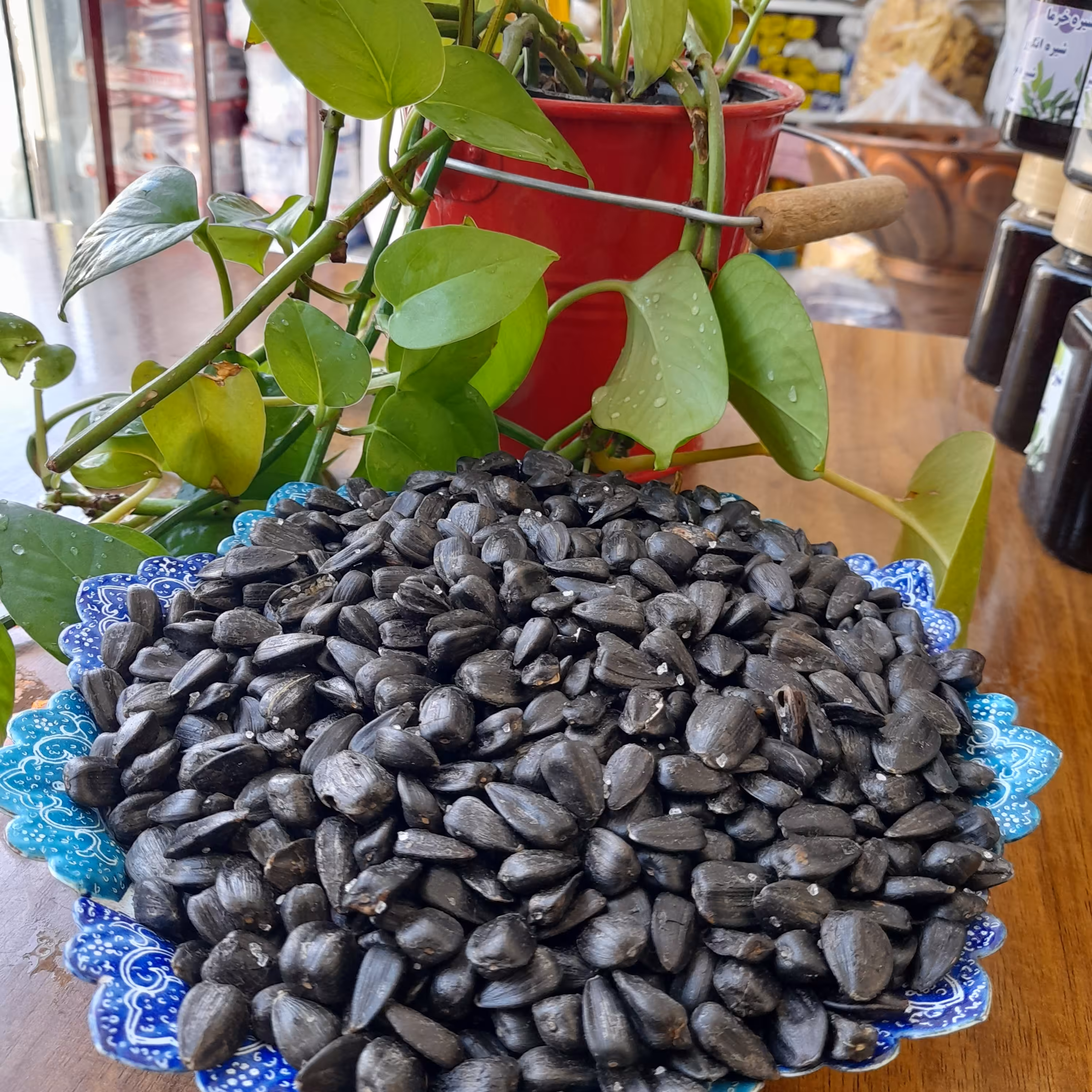 تخمه روغنی نمکی