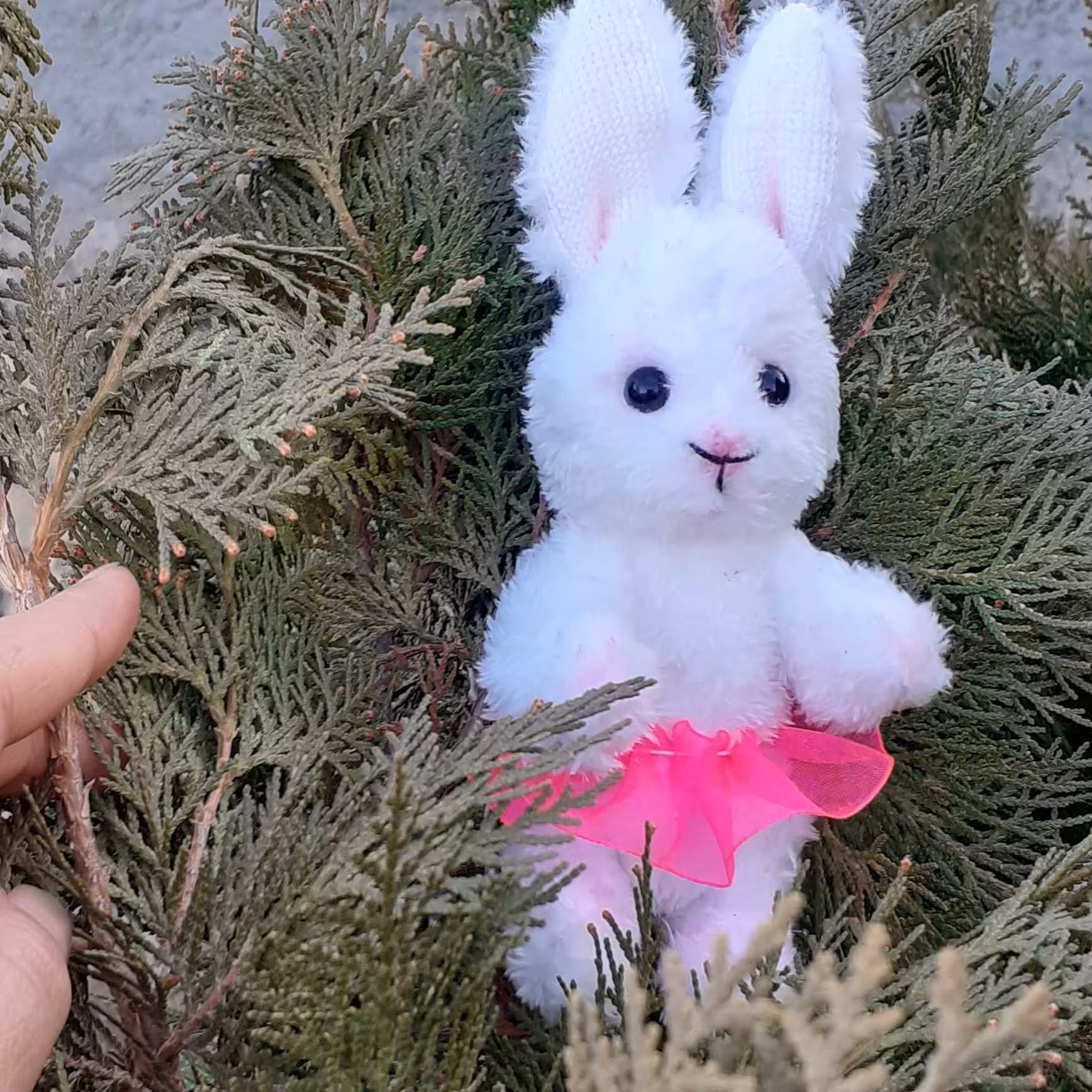  خرگوش  جاسوئیچی 