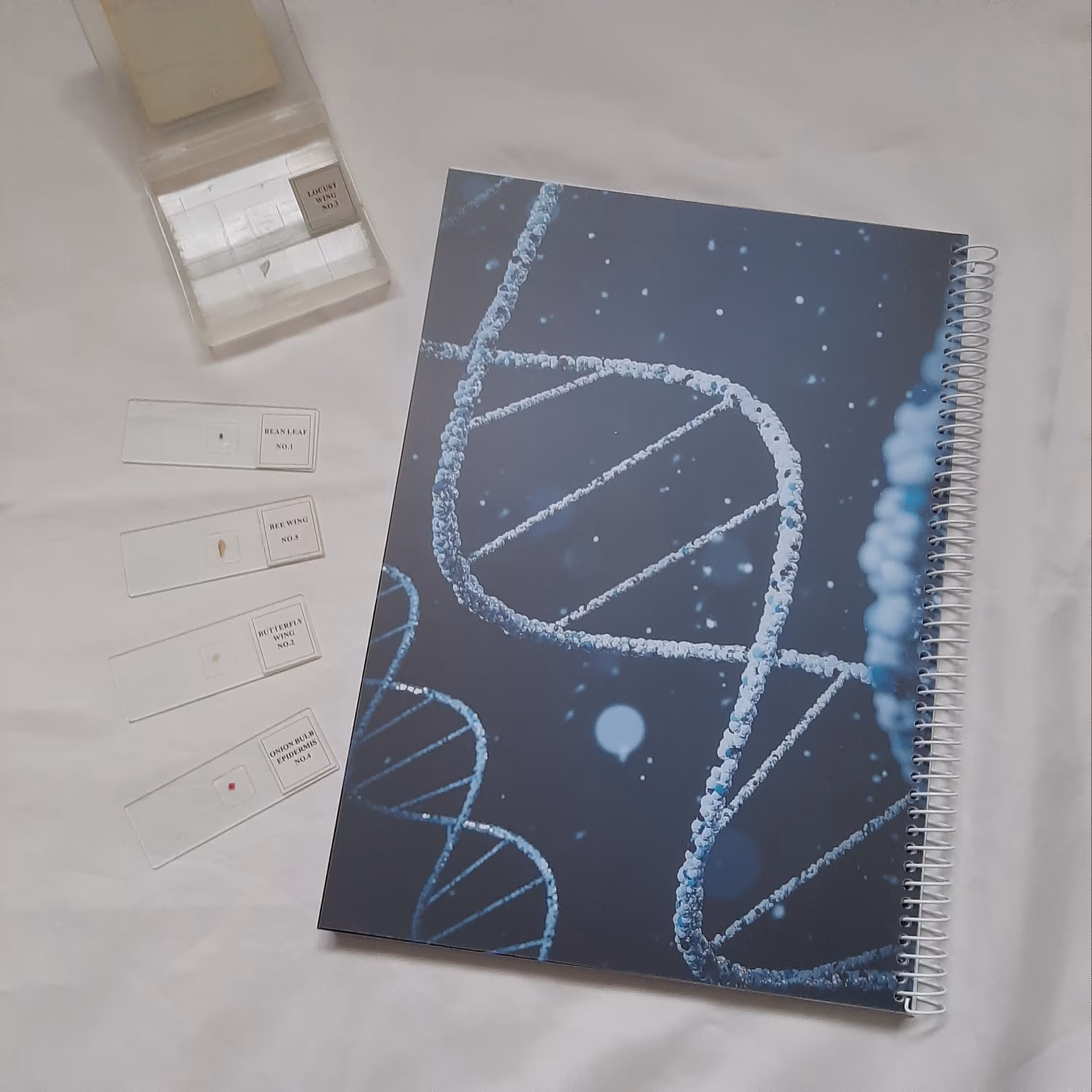 دفتر شطرنجی جزوه نویسی صد برگ A4 طرح DNA