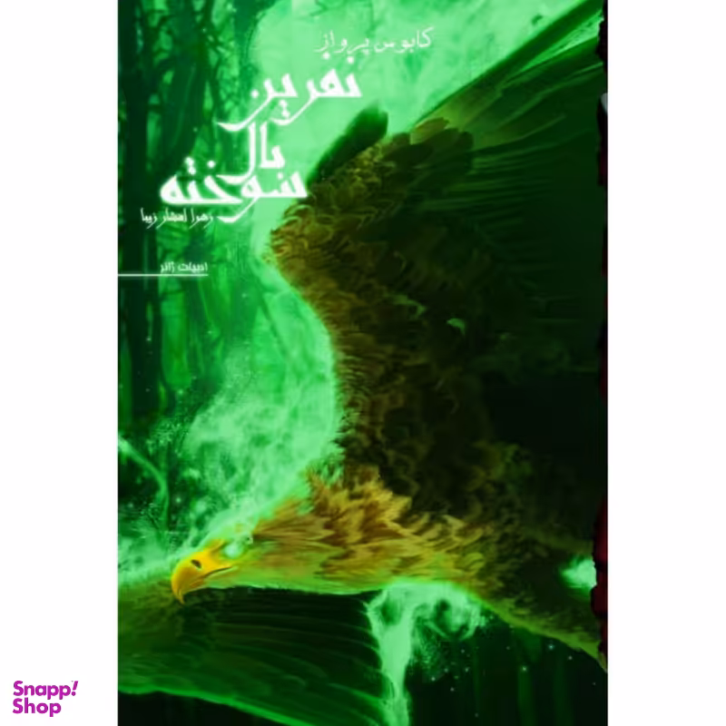کتاب نفرین بال سوخته اثر زهرا افشار زیبا انتشارات  کتابسرای تندیس