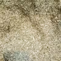 شنبلیله خشک درجه یک 80گرمی