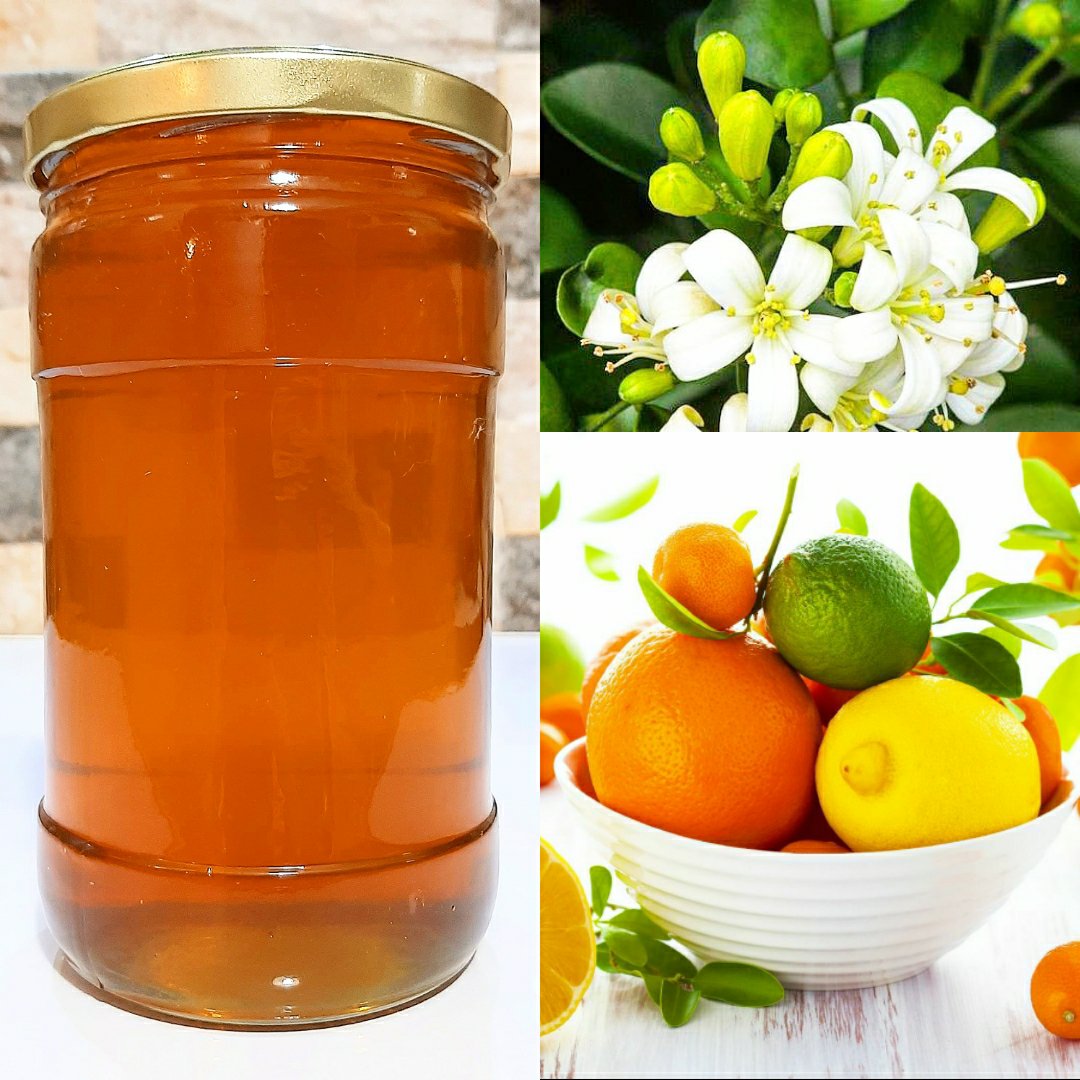 عسل مرکبات (850گرمی)