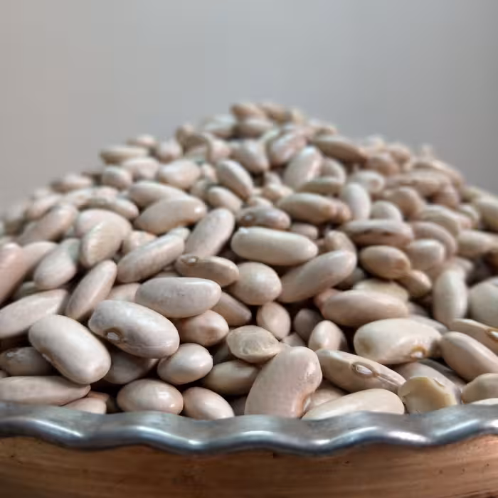 لوبیا سفید محلی خرمدره (نیم کیلویی)