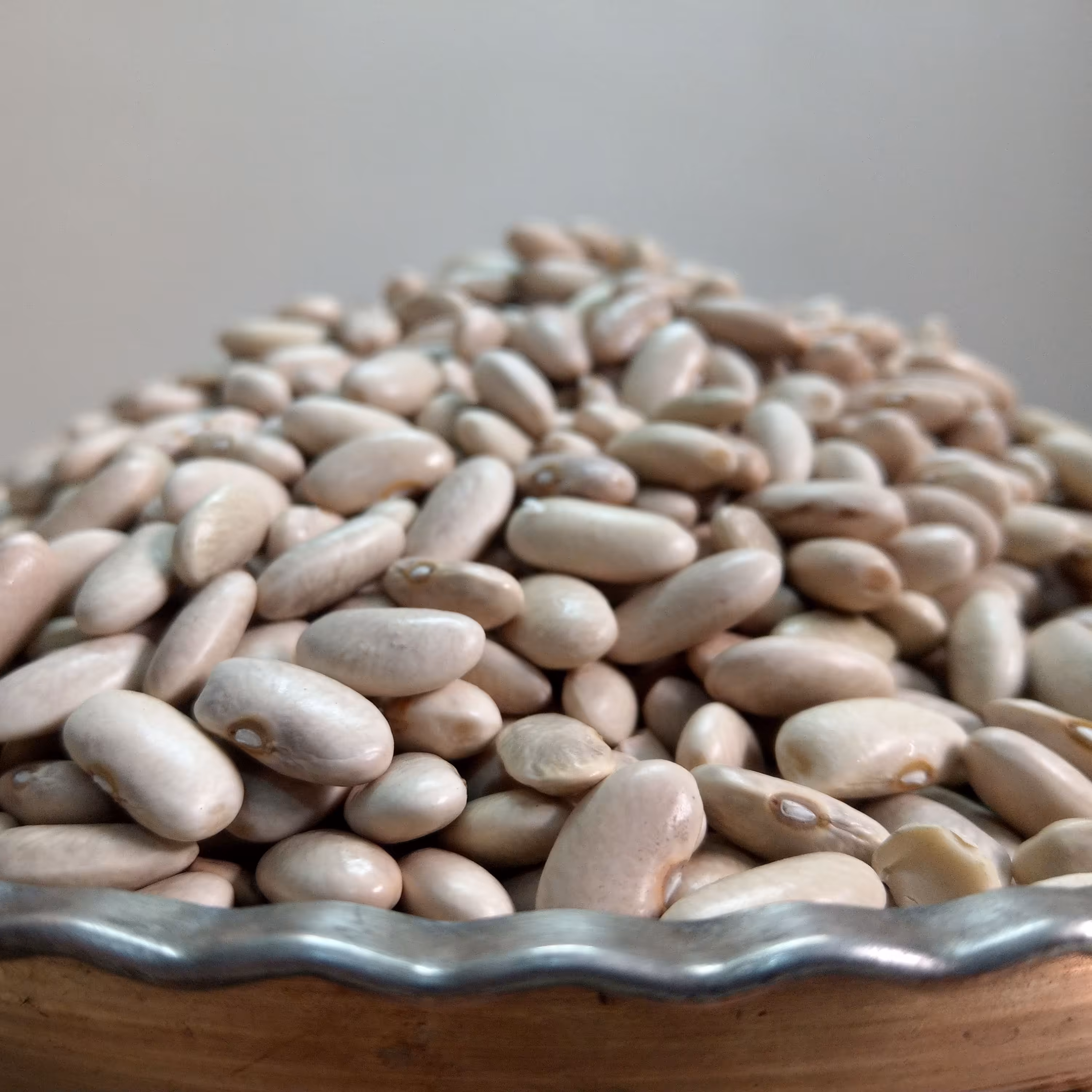 لوبیا سفید محلی خرمدره (نیم کیلویی)