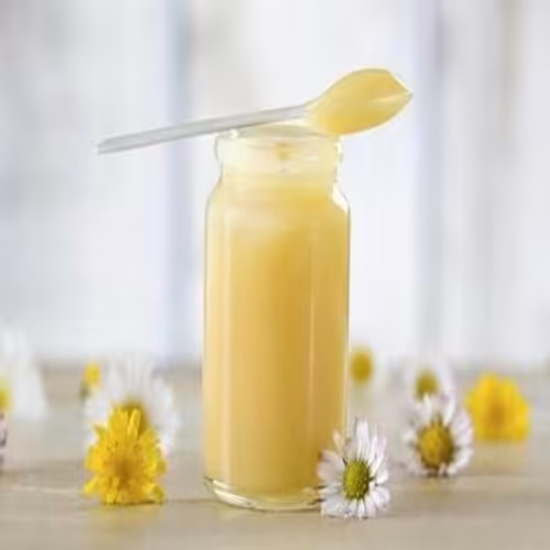 شاه انگبین (ژل رویال)