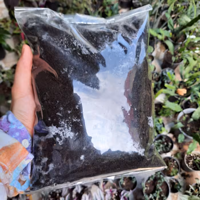 کود حیوانی ارگانیک(کود  تیره وخالص با تضمین کیفیت )