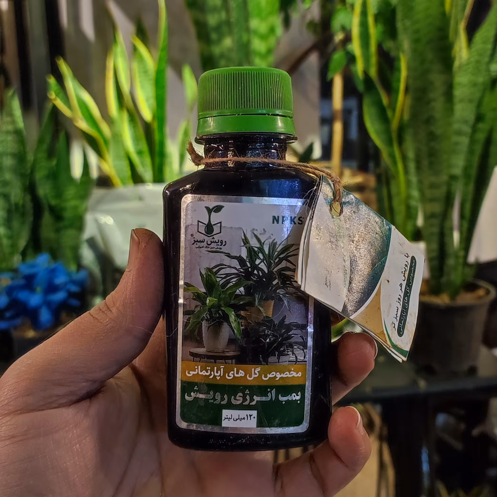 کود گیاهان آپارتمانی آلی مایع رویش سبز مخصوص گیاهان آپارتمانی