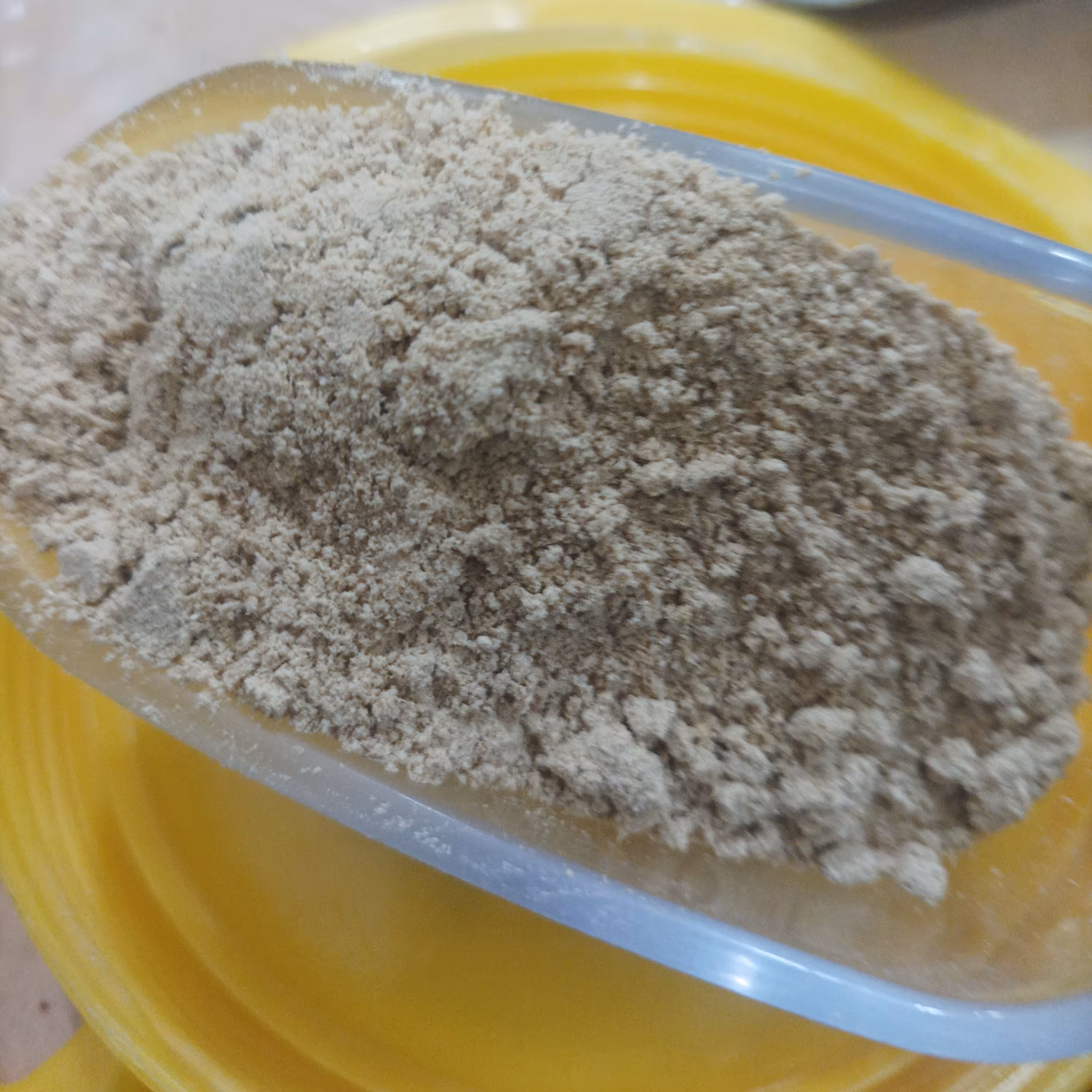 زنجبیل بحرینی(سایده شده)