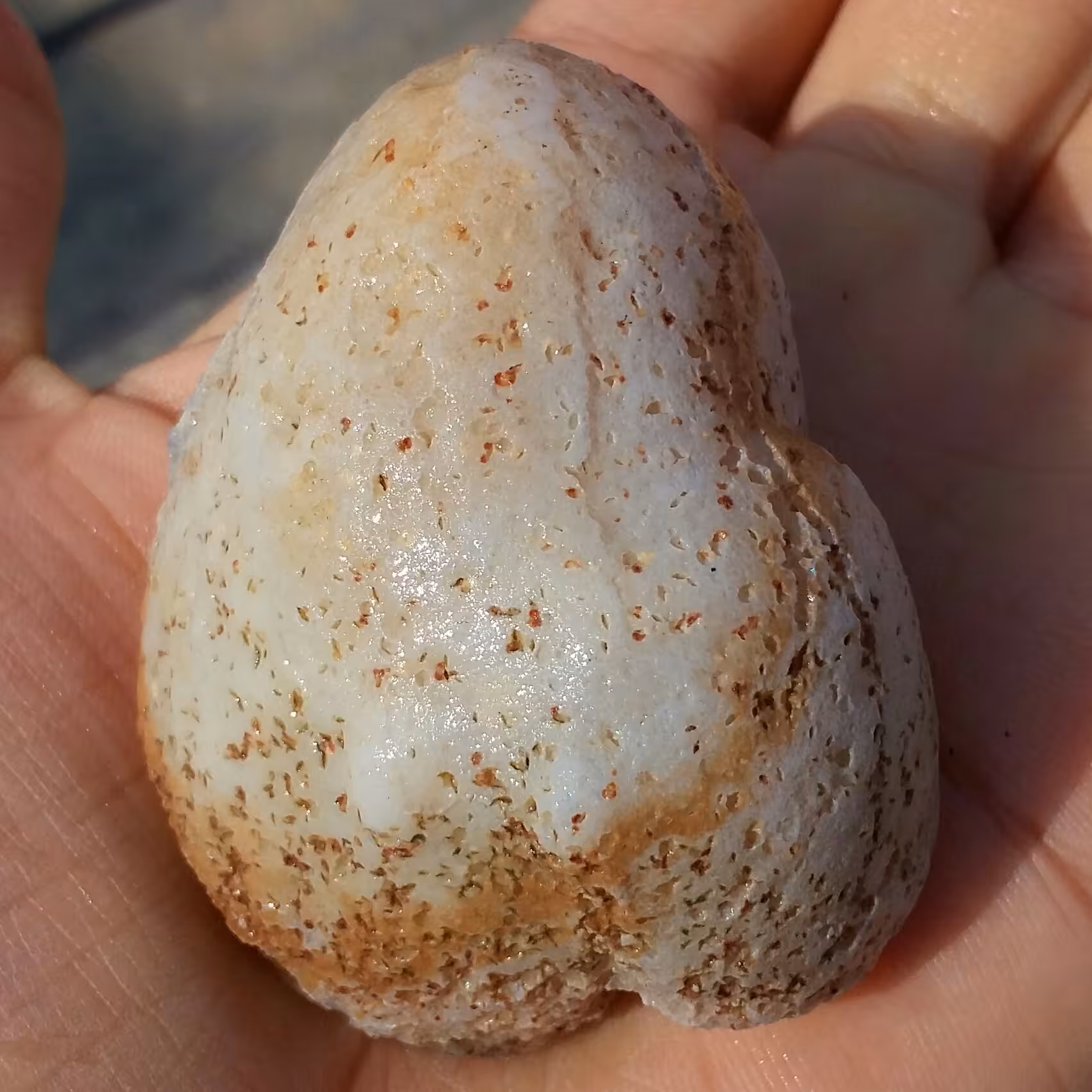 سنگ راف خام عقیق برش نخورده با کیفیت 100 در 100 طبیعی سرشار از خواص شاهکار خلقت
با قابلیت ساخت چند نگین بینظییر
کد 8766