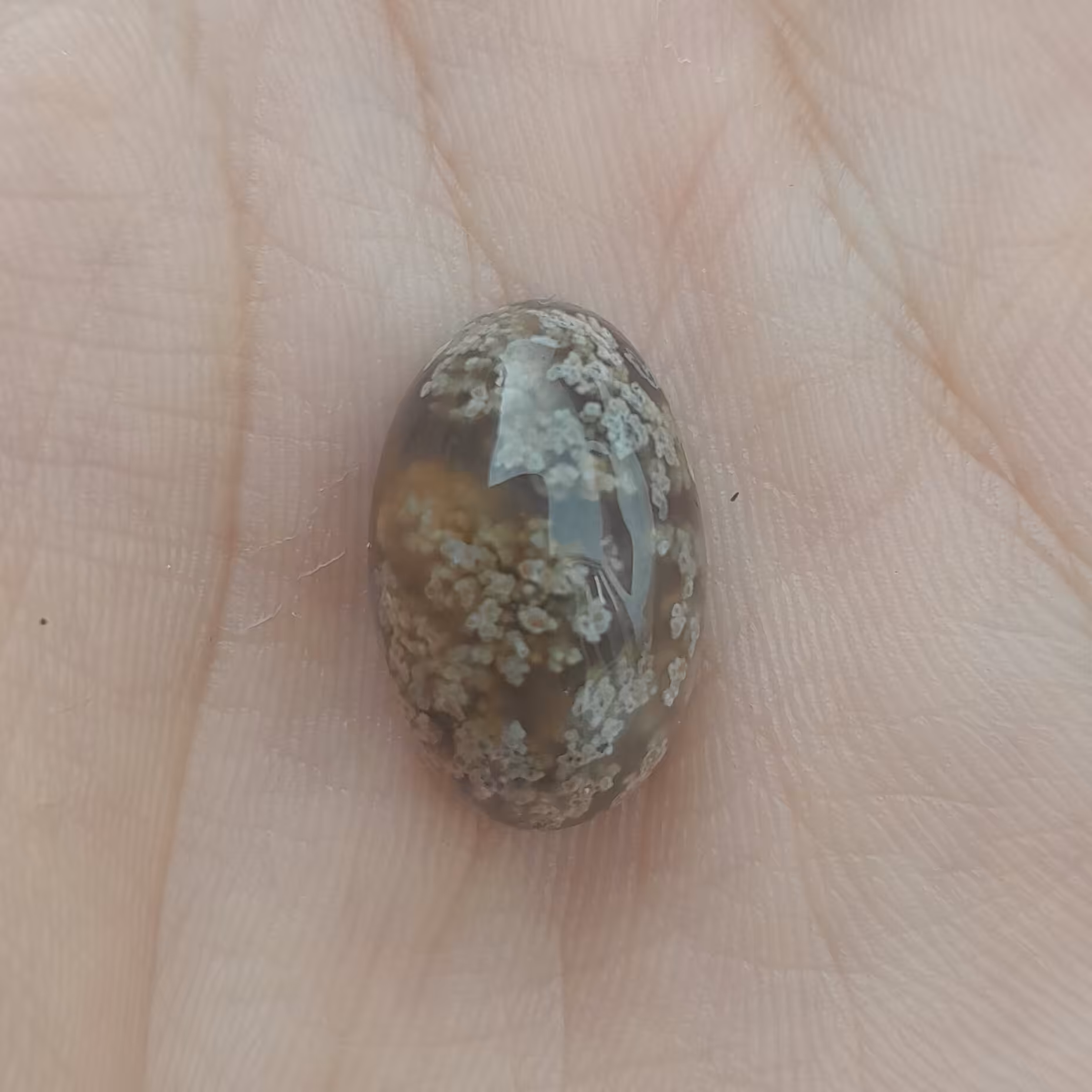 نگین عقیق شجر کد 114