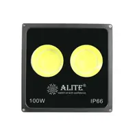 پرژکتور 100 وات الیت