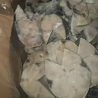 ماهی فیله شیر اقیانوس 15 کیلو گرمی  (ارسال رایگان)