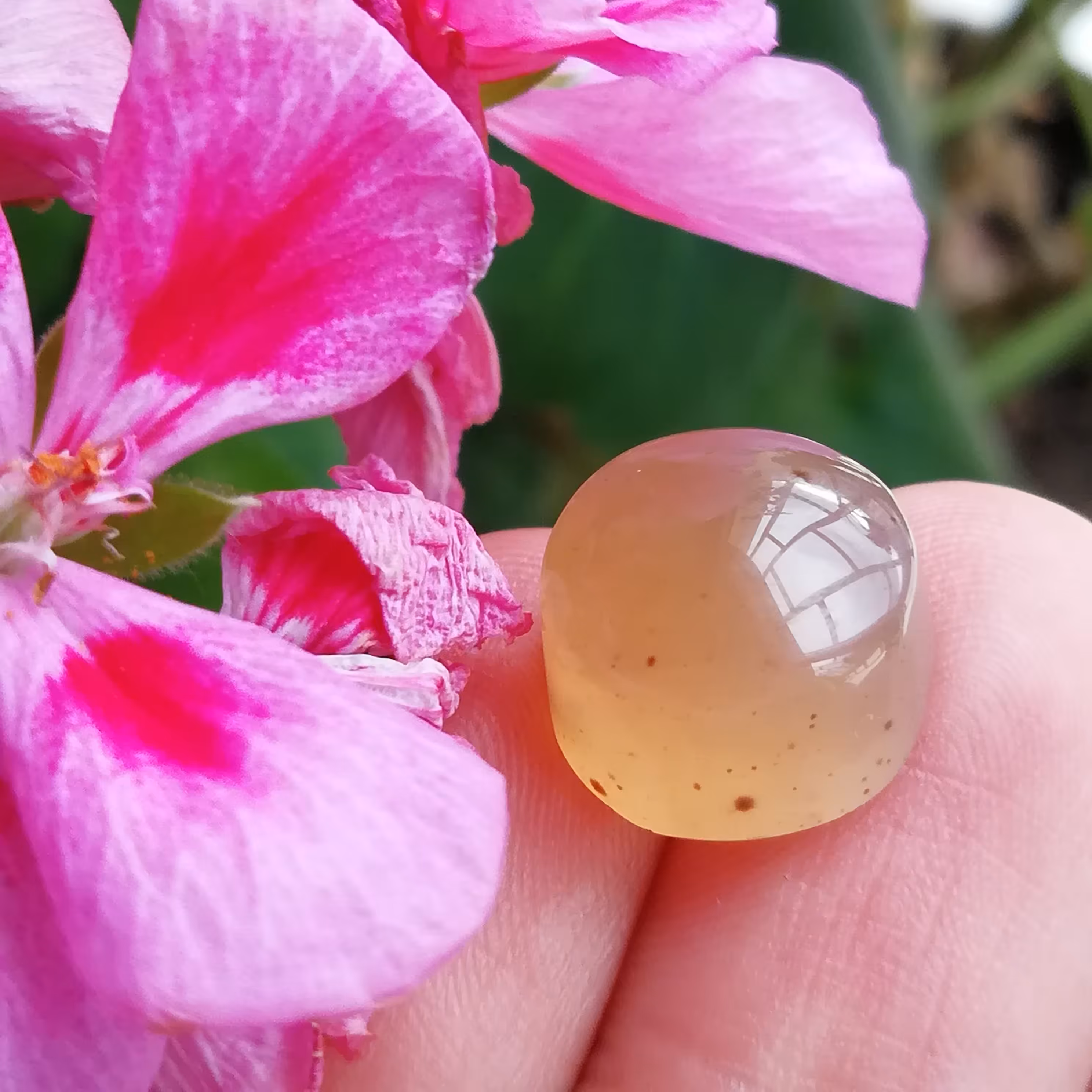 عقیق جزع خوشرنگ (طبیعی و بکر)