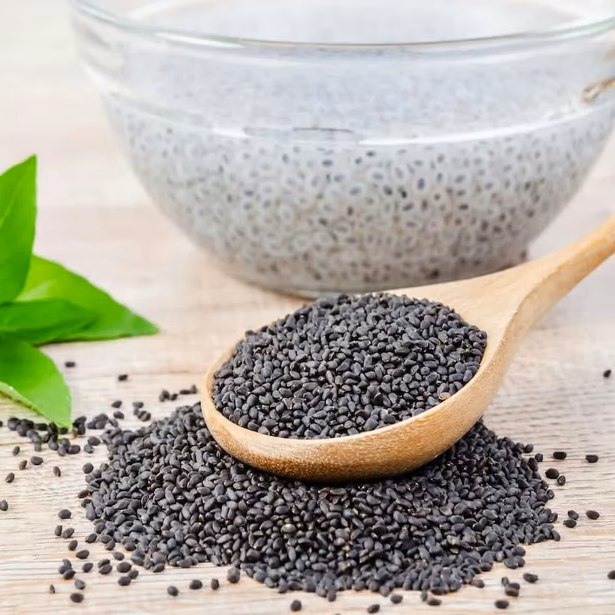 تخم شربتی 500 گرم سورت شده با بهترین کیفیت ممکن