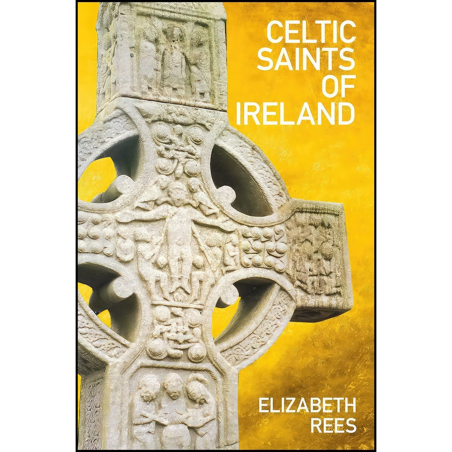 کتاب زبان اصلی Celtic Saints of Ireland اثر Elizabeth Rees