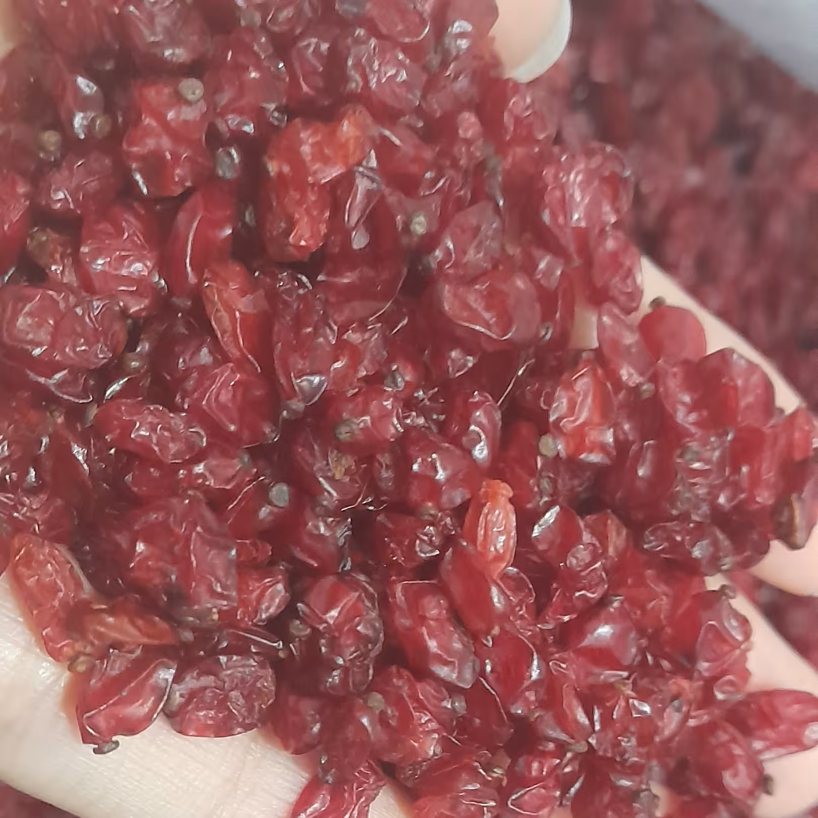 زرشک اناری درجه یک قائنات با کیفیت مطلوب  به وزن 10کیلو گرم 