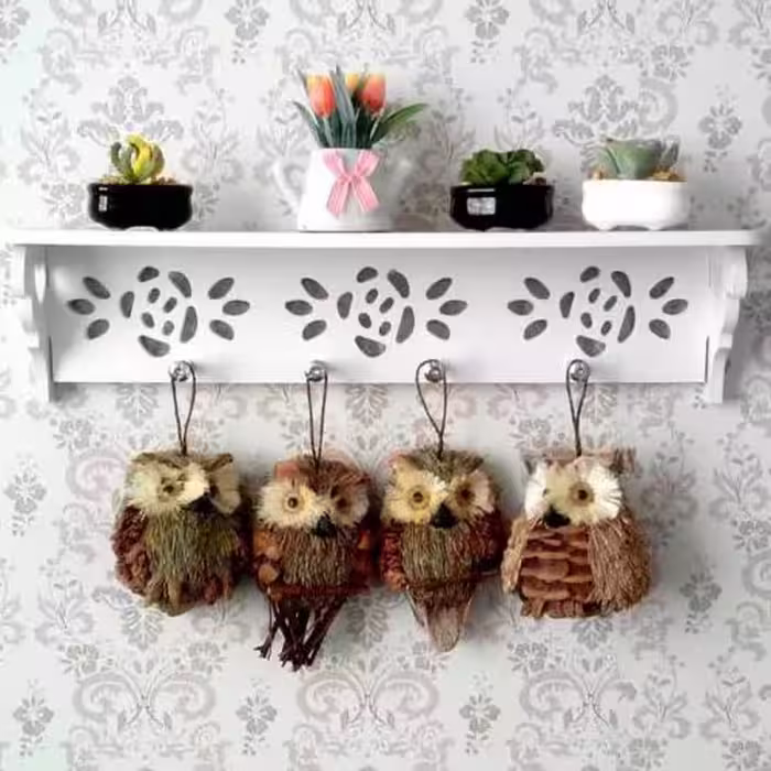 شلف جاحوله ای