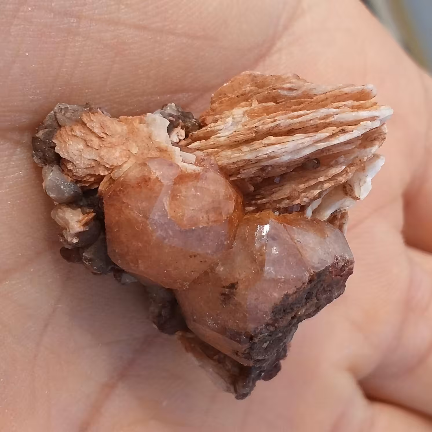 نمونه فوق کلکسیونی آنالیسم بلور درشت خاص روی بستر باریت محشر بسیااار زیبا 100 در 100 طبیعی خارق العاده و تک
کد 8320