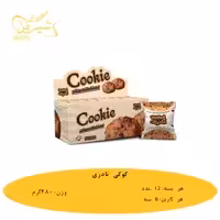 کوکی نادری 480 گرمی