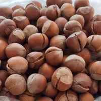 فندق با پوست ترک خورده 500 گرمی ممتاز(تضمین کیفیت) 