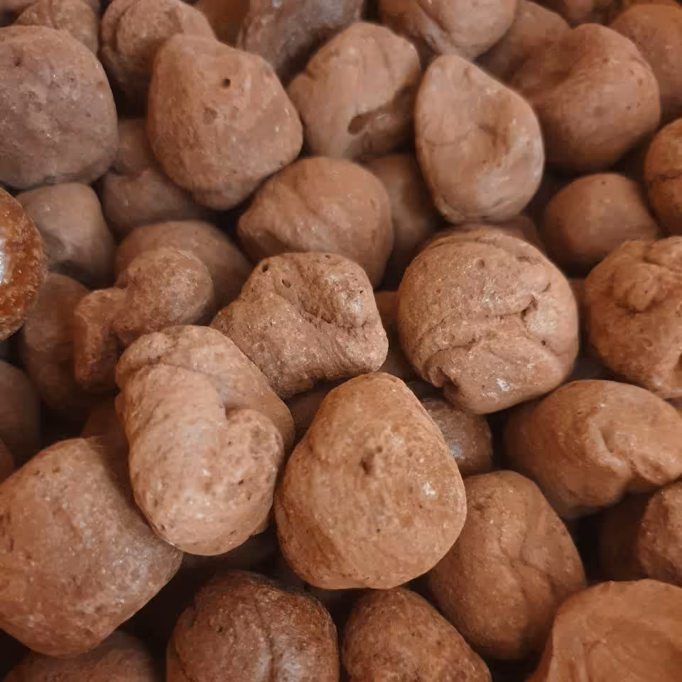 خون سیاوشان اصل  50 گرم 