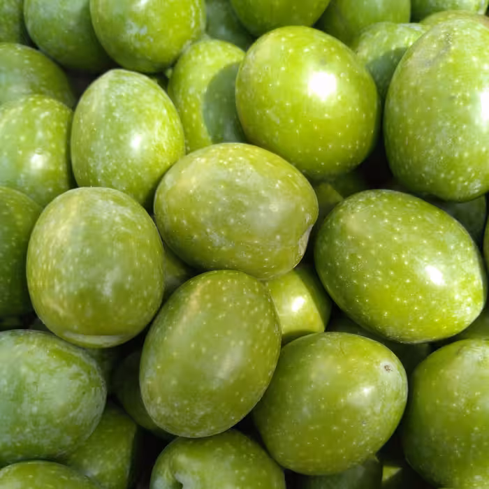 زیتون کنسروی سوپر ویژه طارم 