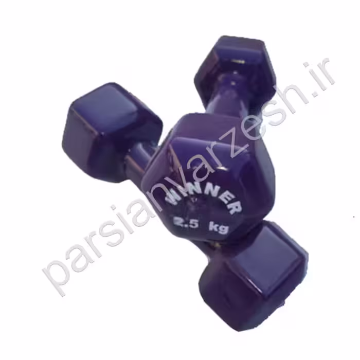 دمبل ایروبیک 2.5 کیلوگرم