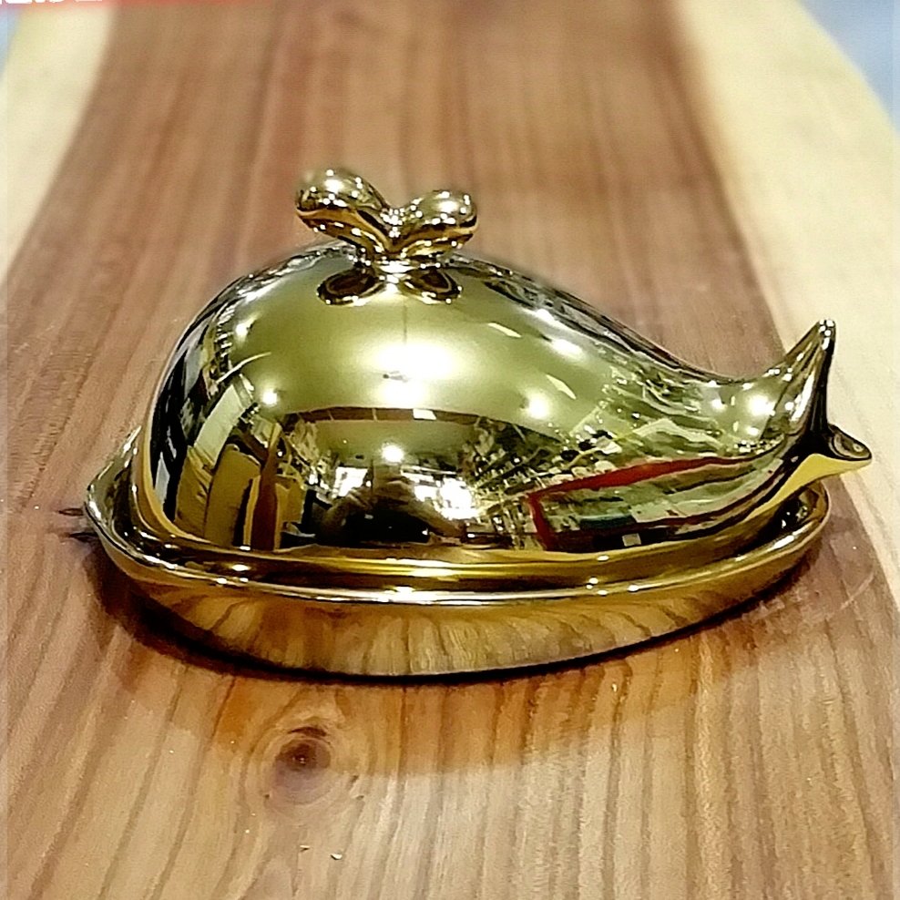کره خوری دلفین 