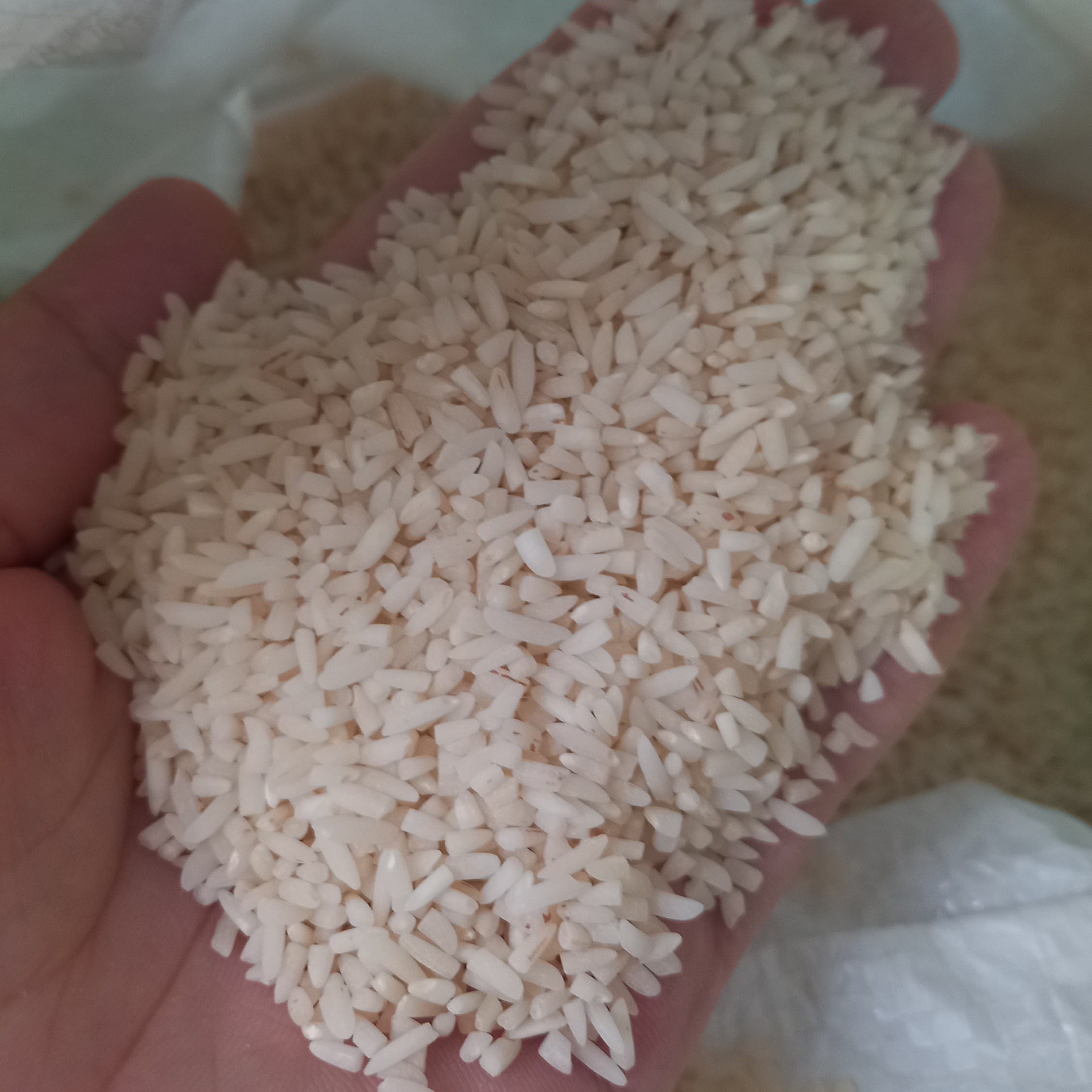 برنج لاشه هاشمی گیلان(5کیلوگرم)