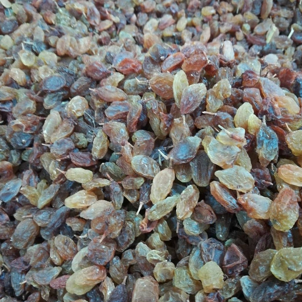 کشمش سبز طبیعی اعلا تازه