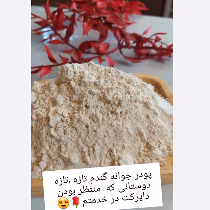 پودر جوانه گندم(خانگی)بدون هیچ افزودنی تولید روز و تازه   200گرمی 