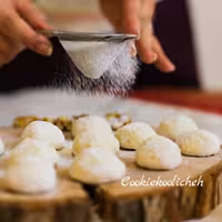 کوکی روسی  بسته 43 عددی 430 گرم