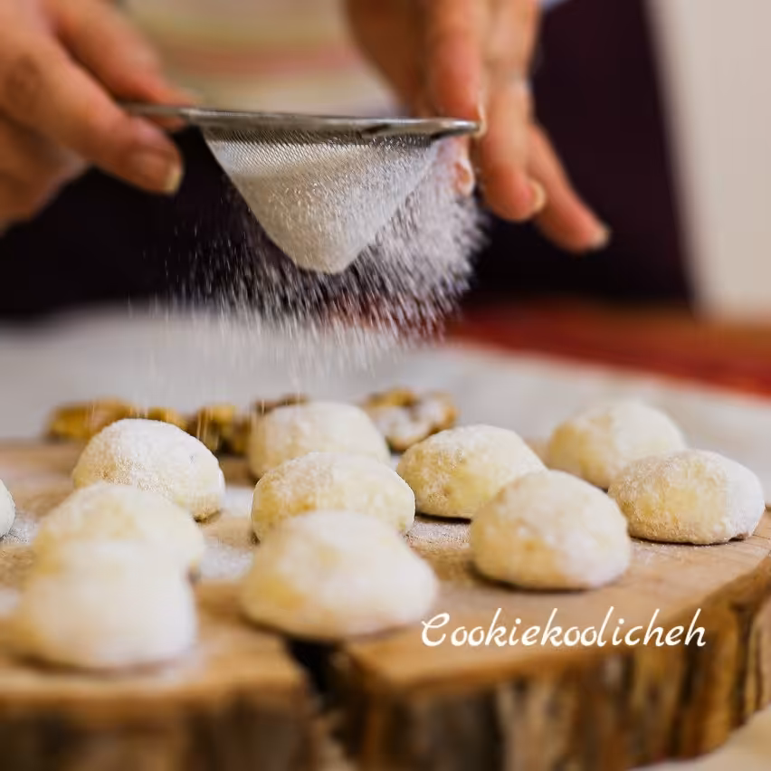 کوکی روسی  بسته 43 عددی 430 گرم