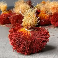 زعفران  (اصل قائنات)