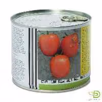 بذر گوجه افرا انزازادن