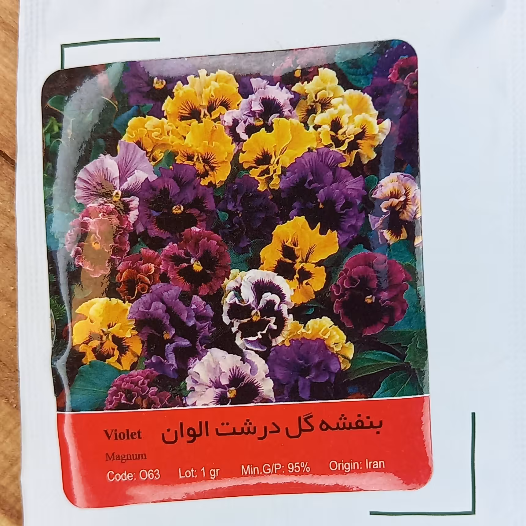 بذر گل بنفشه گل درشت الوان