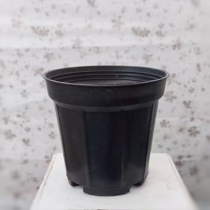 گلدان پلاستیکی با قطر 14 سانتی متر ( گلدان 14) 